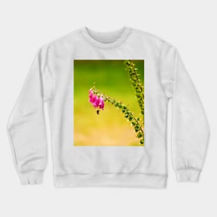 122515 honey and pea Crewneck Sweatshirt